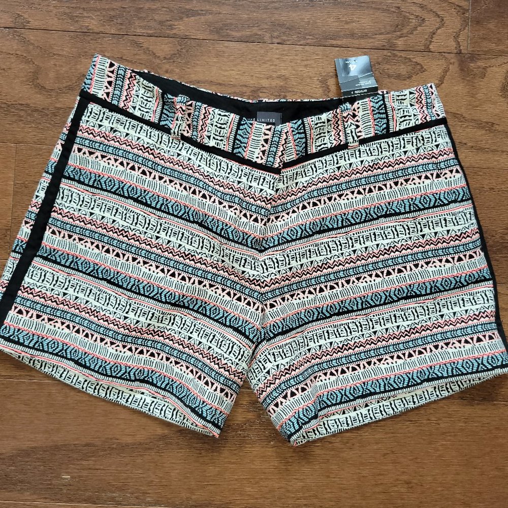The Limited Multicolor Shorts - 4